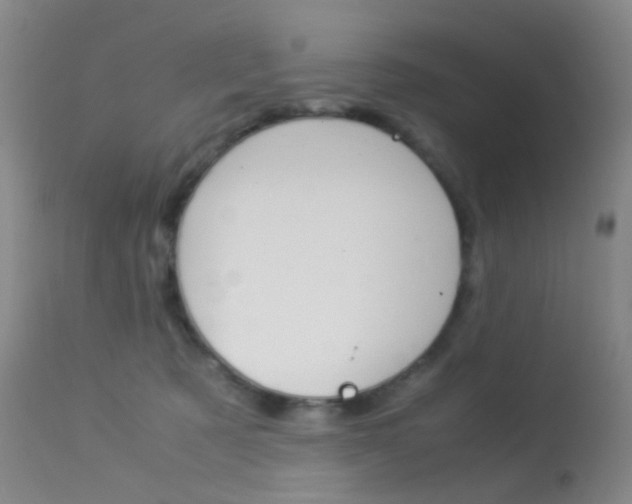X0000113540321200909181029
