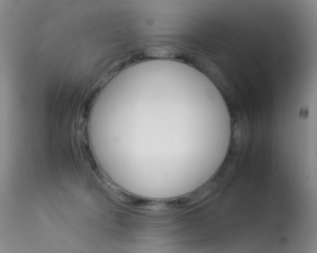 X0000113540322200909181029