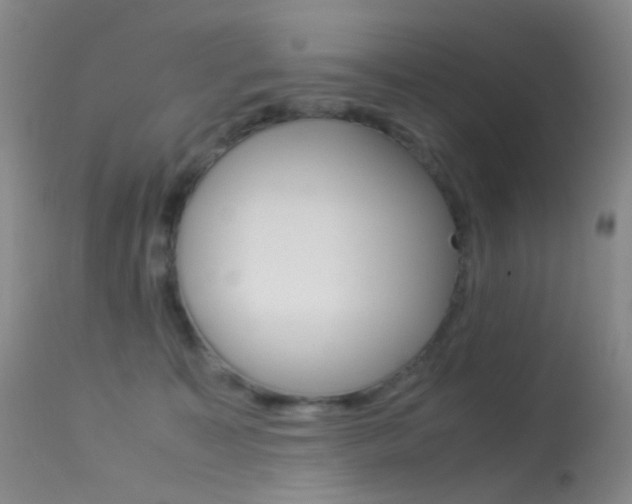 X0000113540323200909181029