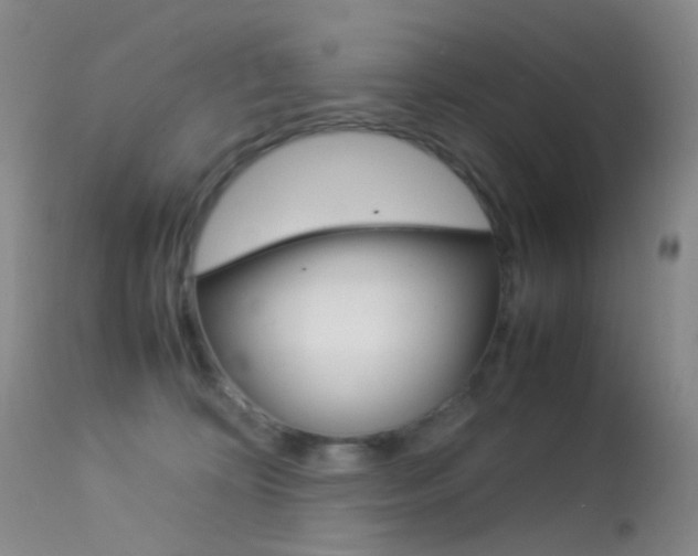 X0000113540324200909181029