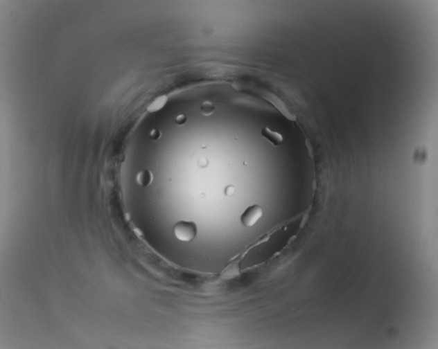 X0000113540325200909181029