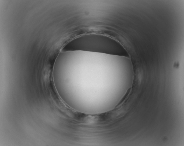 X0000113540328200909181029