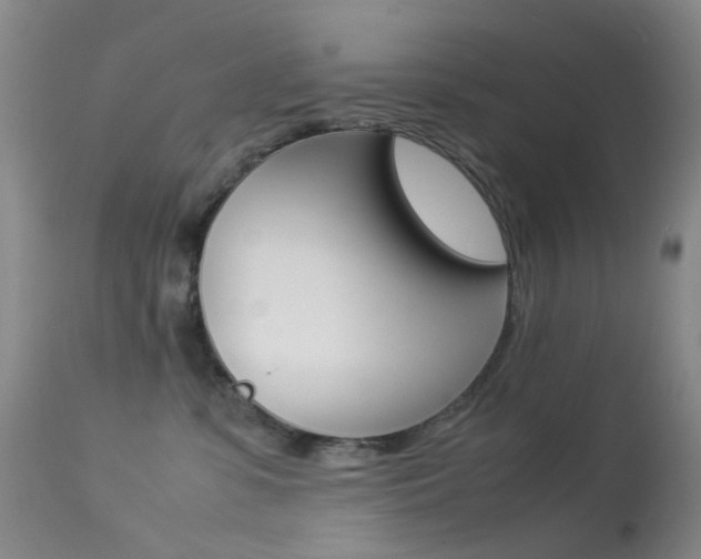 X0000113540331200909181029