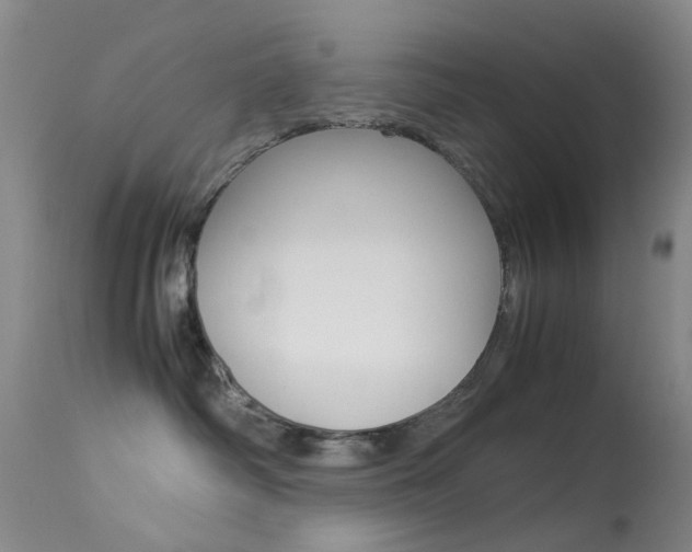 X0000113540334200909181029