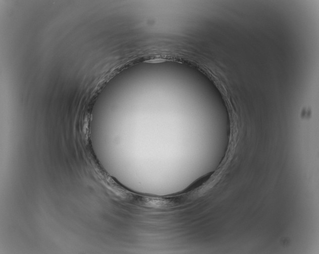 X0000113540336200909181029