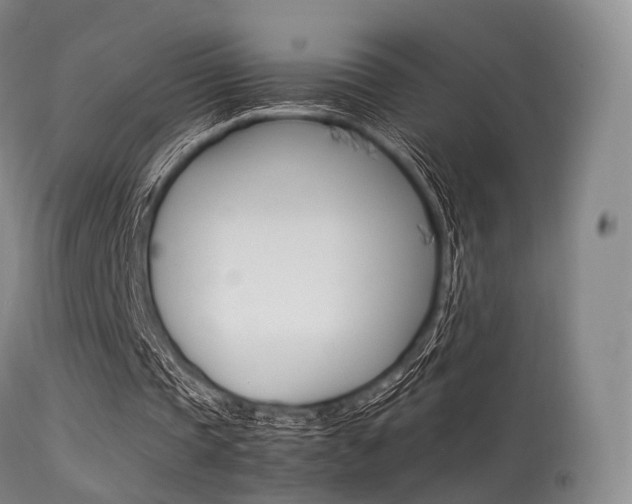 X0000113540337200909181028