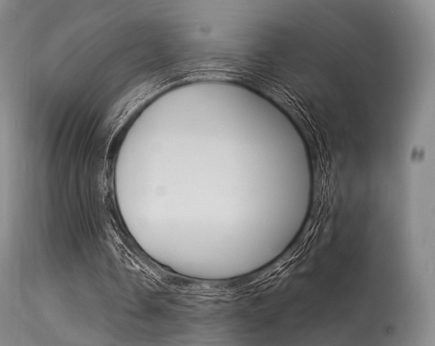 X0000113540338200909181028