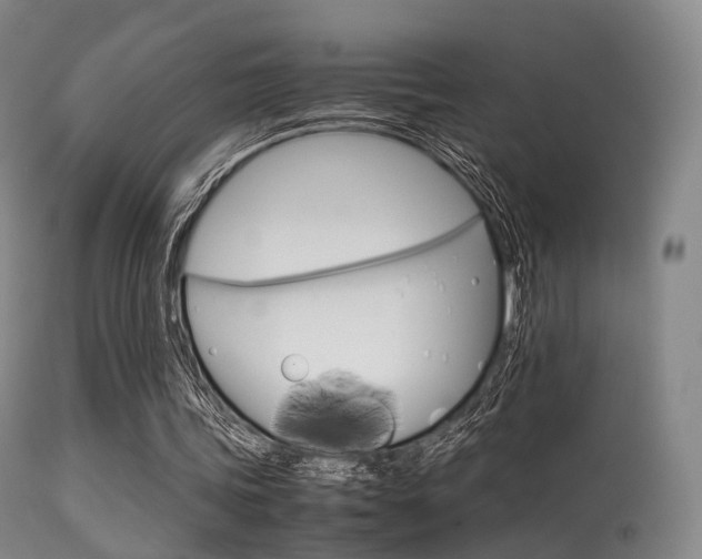 X0000113540339200909181028