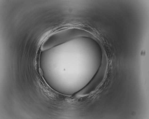 X0000113540340200909181028