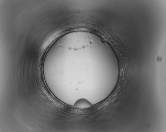 X0000113540341200909181028