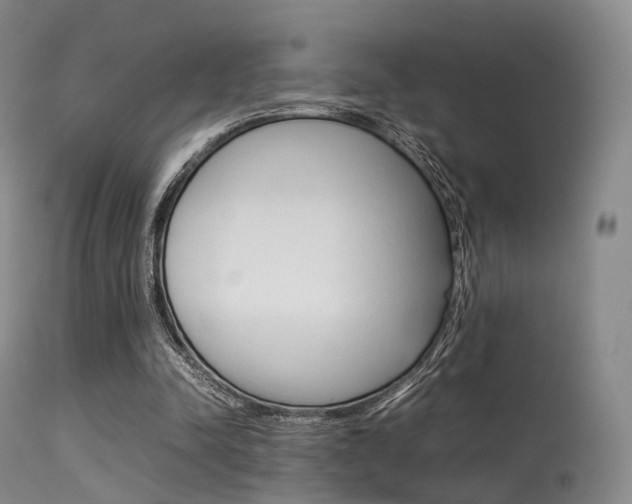 X0000113540342200909181028