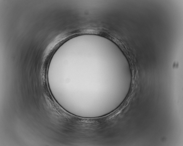 X0000113540343200909181028