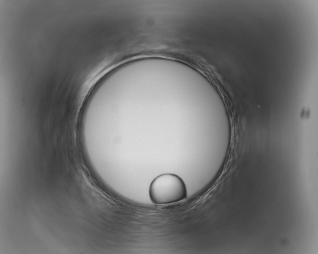 X0000113540344200909181028