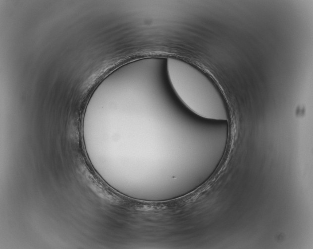 X0000113540345200909181028