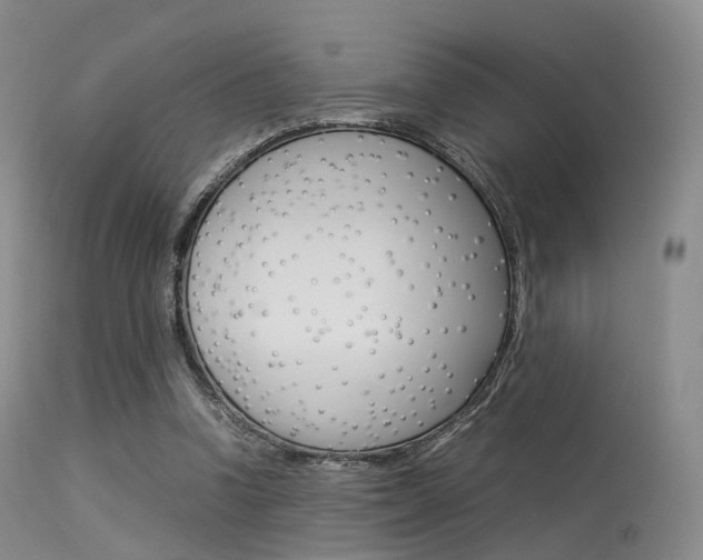 X0000113540346200909181028