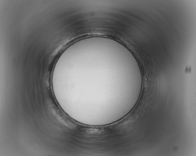 X0000113540347200909181028