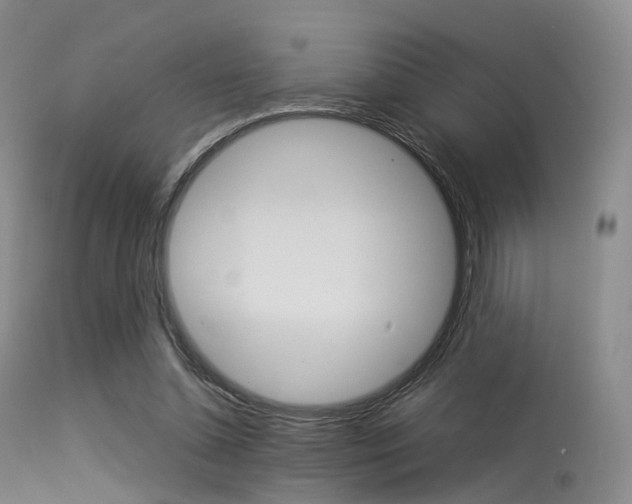 X0000113540348200909181028