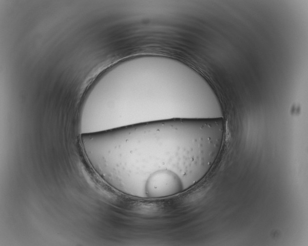 X0000113540349200909181028