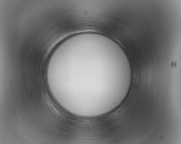 X0000113540350200909181028