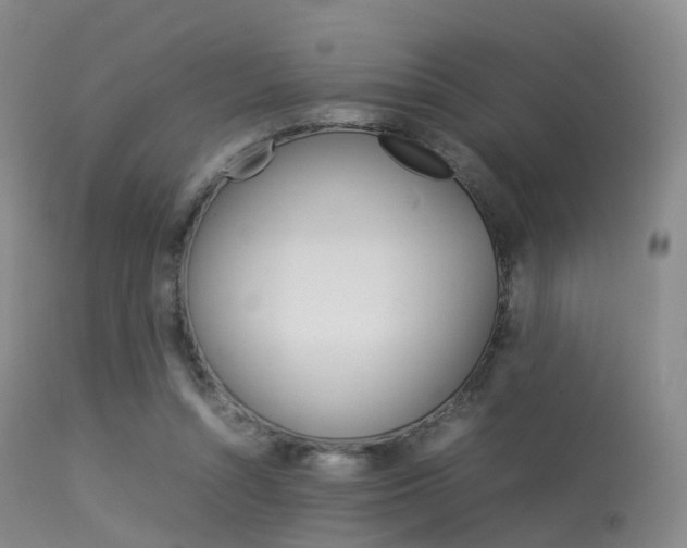 X0000113540352200909181028