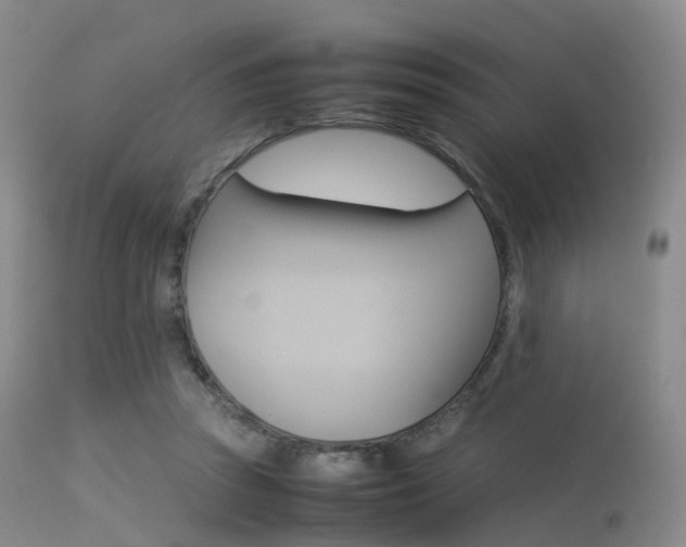 X0000113540353200909181028