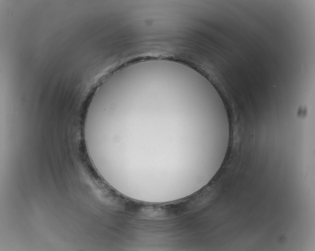 X0000113540354200909181028