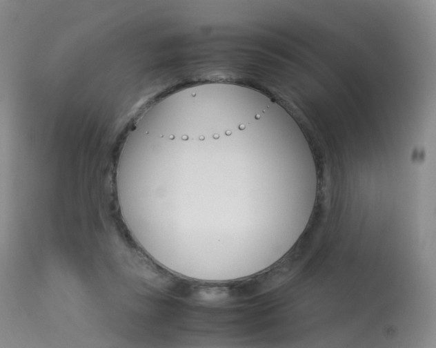 X0000113540355200909181028