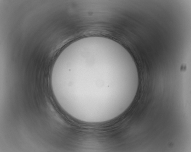 X0000113540356200909181028