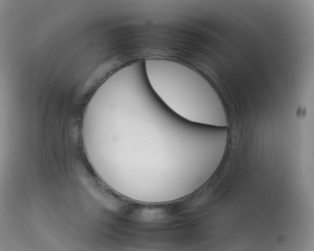 X0000113540357200909181028