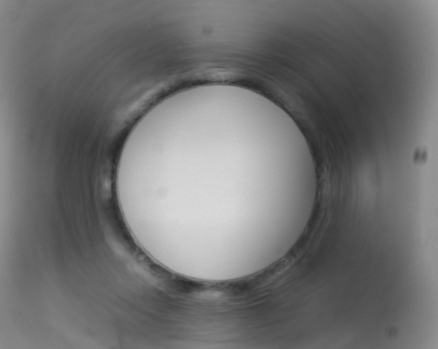 X0000113540358200909181028