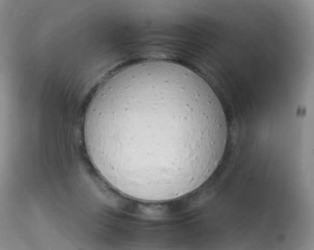 X0000113540359200909181028