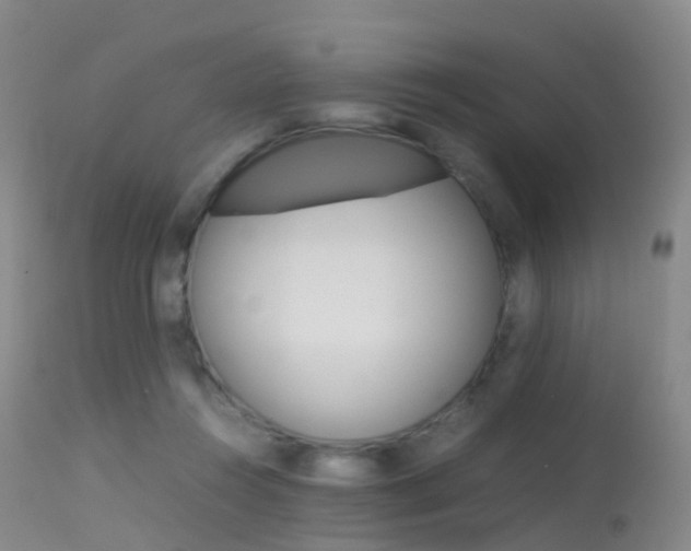 X0000113540360200909181029