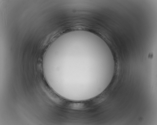 X0000113540361200909181029
