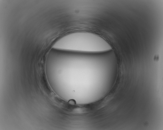 X0000113540364200909181029