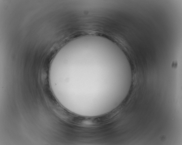 X0000113540365200909181029