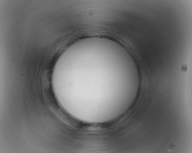 X0000113540366200909181029