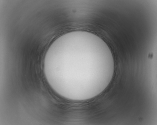 X0000113540368200909181029