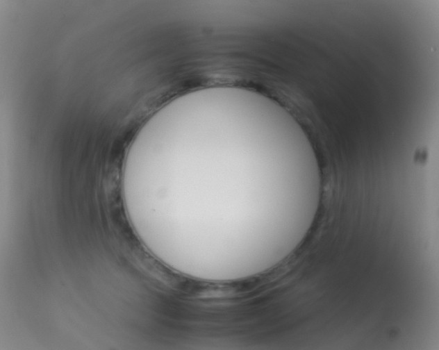 X0000113540369200909181029