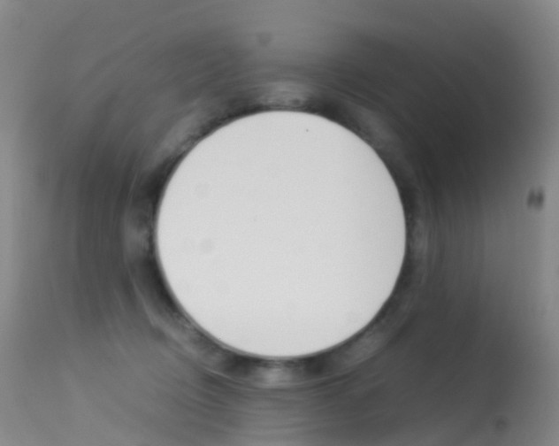 X0000113540370200909181029