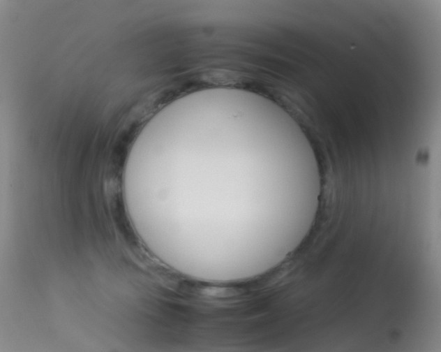 X0000113540371200909181029