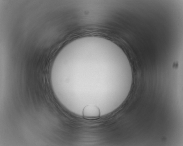 X0000113540372200909181029