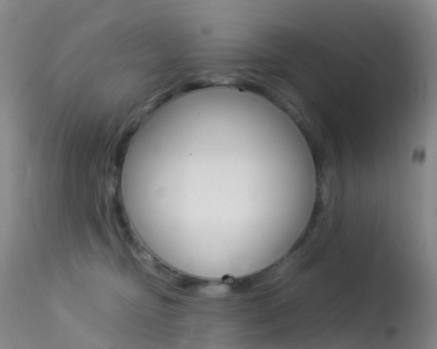 X0000113540374200909181029