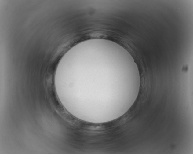 X0000113540375200909181029