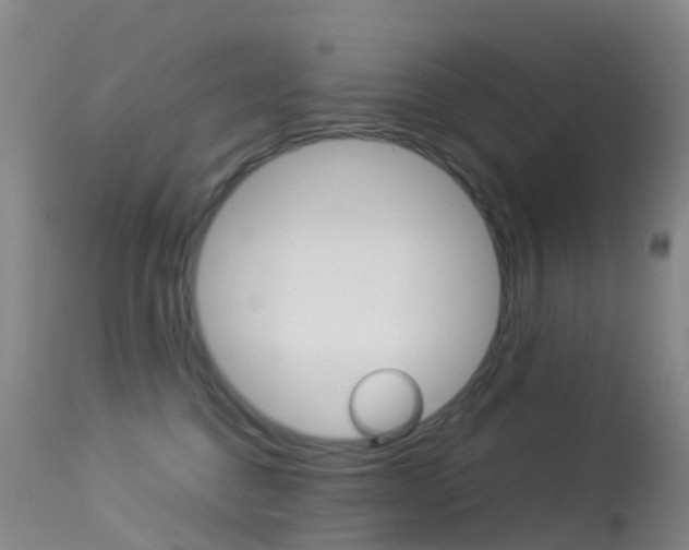 X0000113540376200909181029