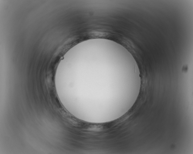 X0000113540377200909181029
