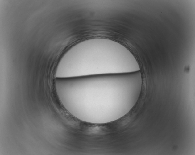 X0000113540379200909181029