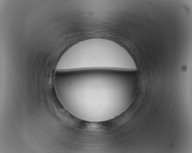 X0000113540380200909181029