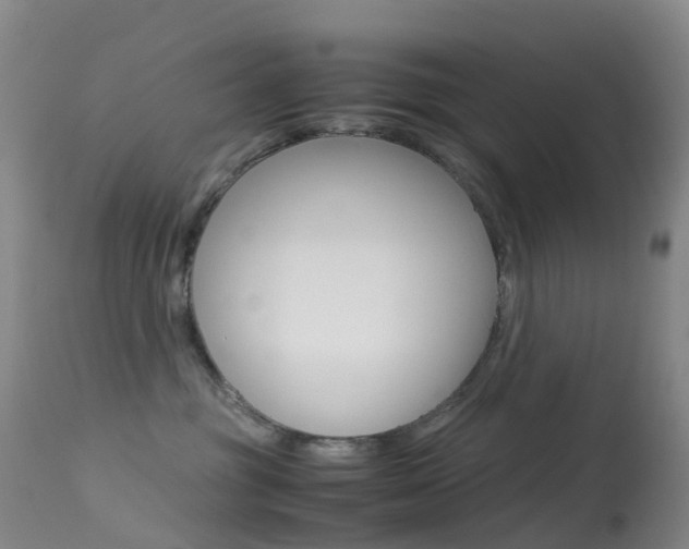 X0000113540381200909181029