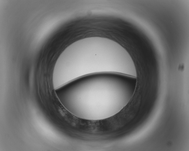 X0000113540382200909181029