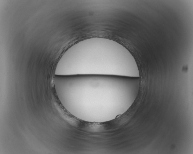 X0000113540383200909181029